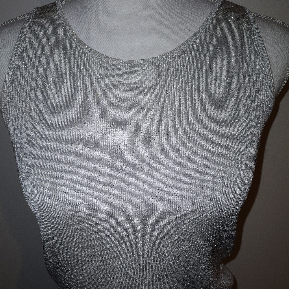 Ann Taylor Silver Glitter Tank - Hey Beyonce!